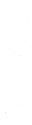 SYNDIKATA